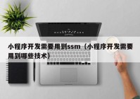 小程序开发需要用到ssm（小程序开发需要用到哪些技术）