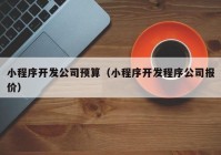 小程序开发公司预算（小程序开发程序公司报价）