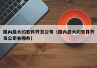 国内最大的软件开发公司（国内最大的软件开发公司有哪些）