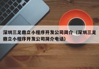 深圳三足鼎立小程序开发公司简介（深圳三足鼎立小程序开发公司简介电话）