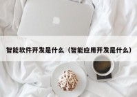 智能软件开发是什么（智能应用开发是什么）