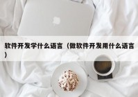 软件开发学什么语言（做软件开发用什么语言）