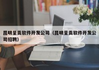 昆明呈贡软件开发公司（昆明呈贡软件开发公司招聘）