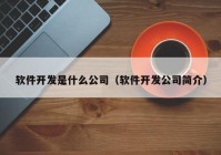 软件开发是什么公司（软件开发公司简介）