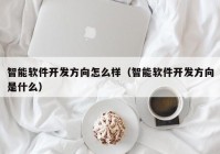 智能软件开发方向怎么样（智能软件开发方向是什么）