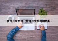 软件开发公司（软件开发公司赚钱吗）