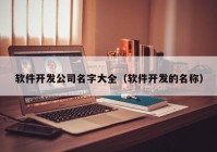 软件开发公司名字大全（软件开发的名称）