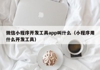 微信小程序开发工具app叫什么（小程序用什么开发工具）