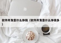 软件开发靠什么挣钱（软件开发靠什么挣钱多）