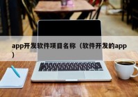 app开发软件项目名称（软件开发的app）