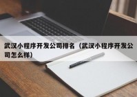 武汉小程序开发公司排名（武汉小程序开发公司怎么样）