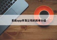 系统app开发公司的简单介绍