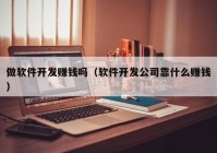 做软件开发赚钱吗（软件开发公司靠什么赚钱）