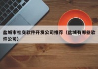 盐城市社交软件开发公司推荐（盐城有哪些软件公司）