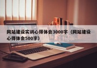 网站建设实训心得体会3000字（网站建设心得体会500字）