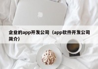 企业的app开发公司（app软件开发公司简介）