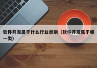 软件开发属于什么行业类别（软件开发属于哪一类）