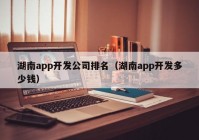 湖南app开发公司排名（湖南app开发多少钱）