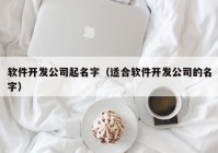 软件开发公司起名字（适合软件开发公司的名字）