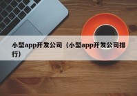 小型app开发公司（小型app开发公司排行）