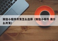 微信小程序开发怎么选择（微信小程序 用什么开发）