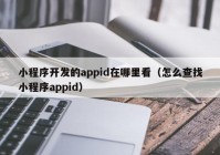 小程序开发的appid在哪里看（怎么查找小程序appid）