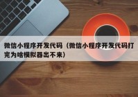 微信小程序开发代码（微信小程序开发代码打完为啥模拟器出不来）